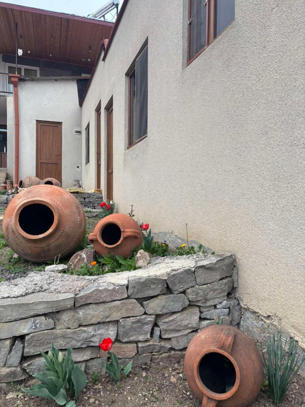 Saro B&B And Safari Tours Татьєв Екстер'єр фото